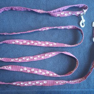 pink double-clip leash with Galway SPCA text