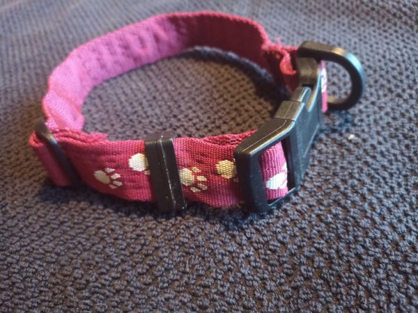 Pink collar with Galway SPCA writing